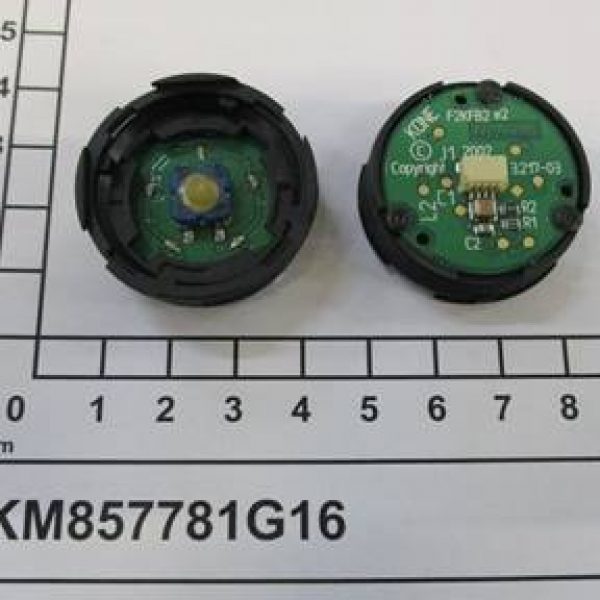 KM857781G16-PIC000000000028355